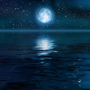 人妖鸡巴操人妖屁眼视频
